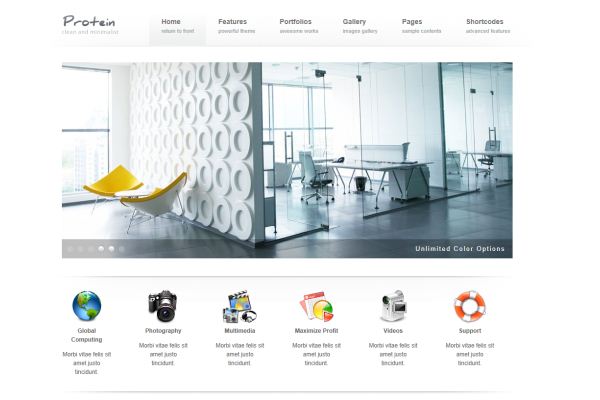 wordpress-protein-theme